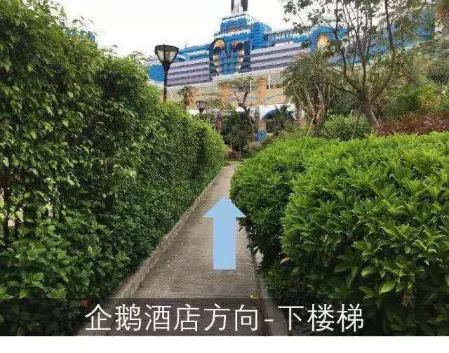 珠海长隆集团企鹅酒店招聘兼职客房清洁服务员​